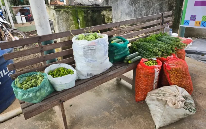 Governo do Estado promove Feira da Agricultura Familiar, em Laranjal do Jari