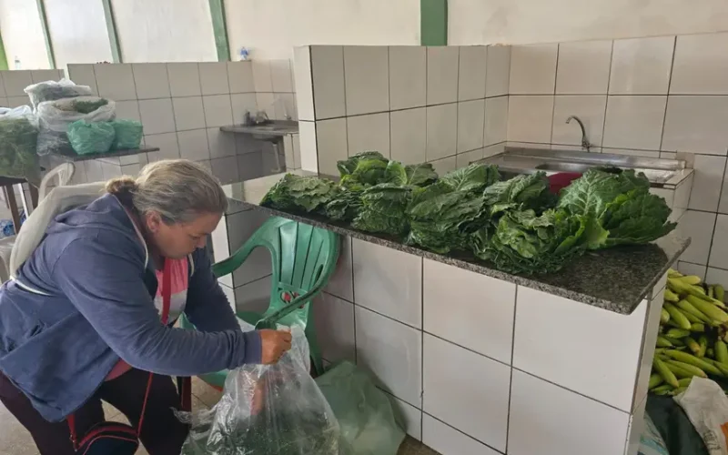 Governo do Amapá fortalece agricultura familiar com aquisição de 10 toneladas de alimentos em Tartarugalzinho