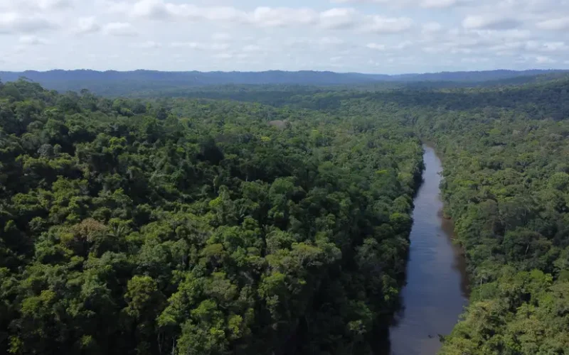 Governo do Amapá avança no mercado de ativos ambientais e realiza capacitação sobre sistema jurisdicional de carbono