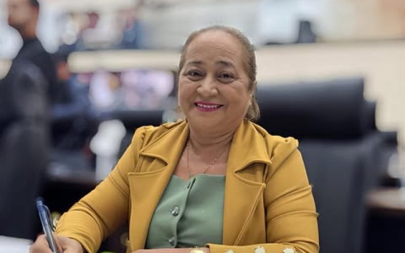 Deputada Zeneide Costa apresenta projeto para distribuição gratuita de protetores auriculares a crianças com autismo no Amapá